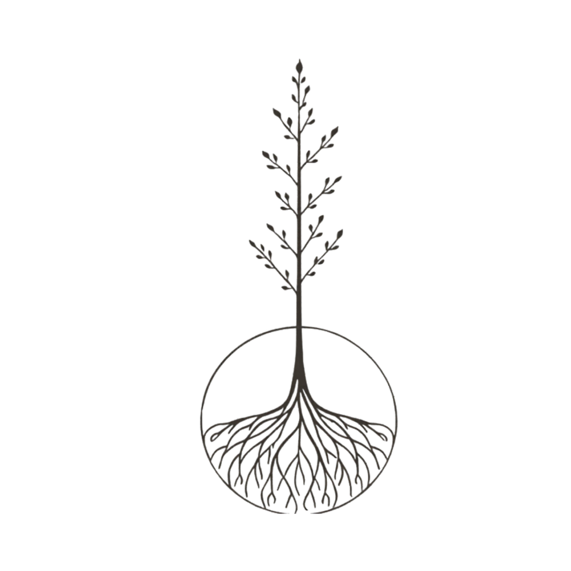 new life sprouting from fully formed roots encircled like the moon